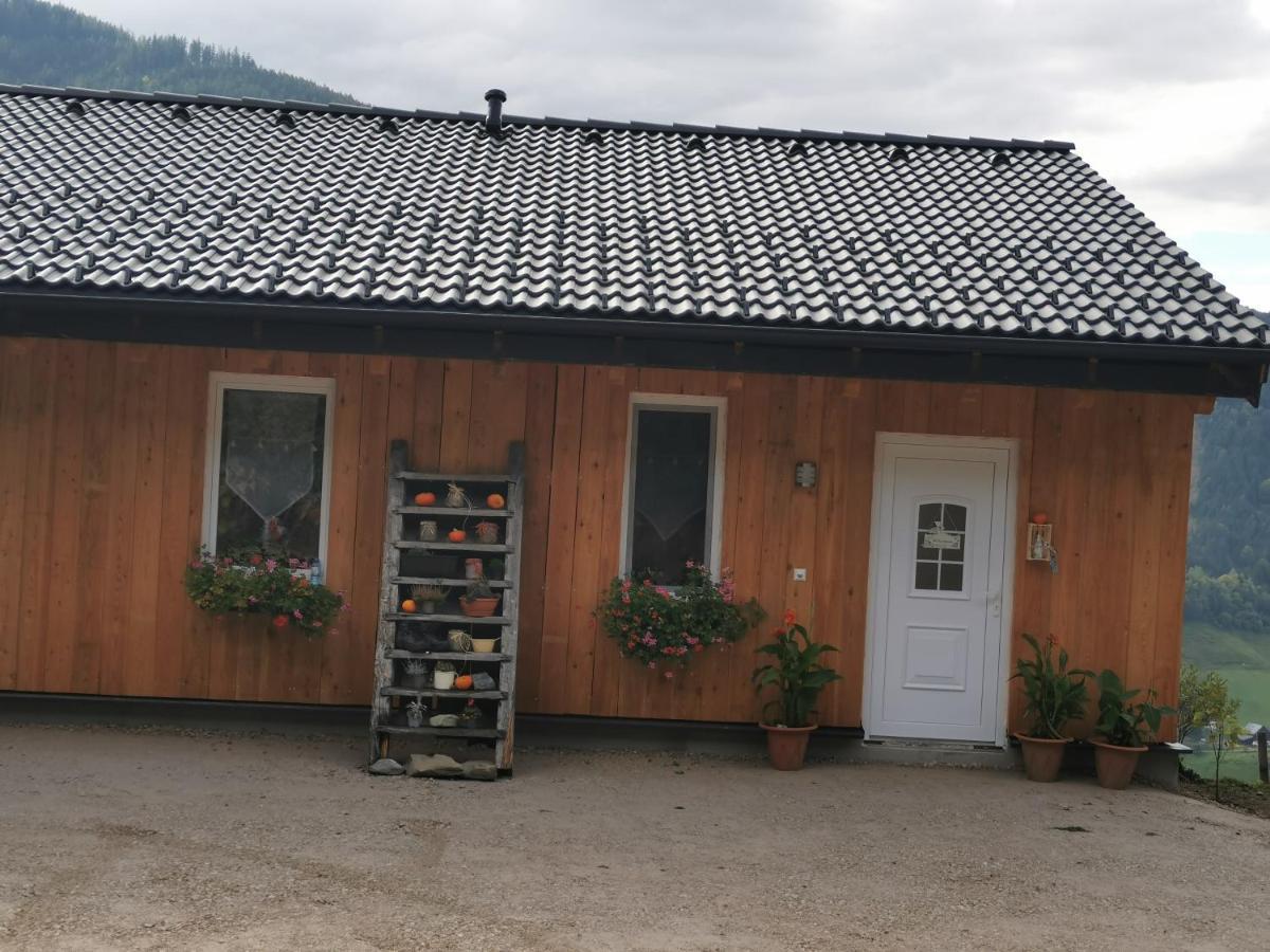 Bergblick Hollnhof Apartment Donnersbach Luaran gambar